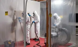 Mold remediation service widget for water damage restoration in Escondido, CA